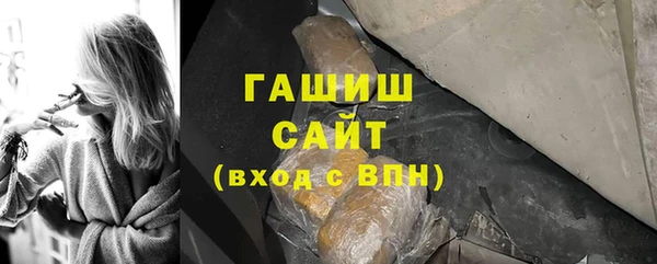 шишки Бородино