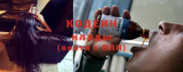 шишки Бородино