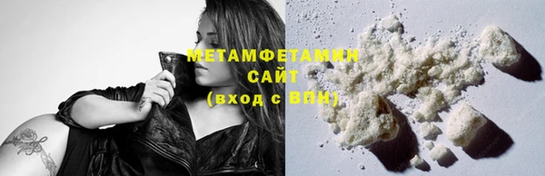 шишки Бородино