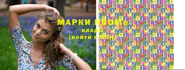 шишки Бородино