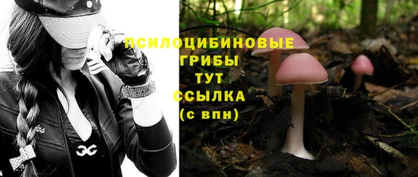 шишки Бородино