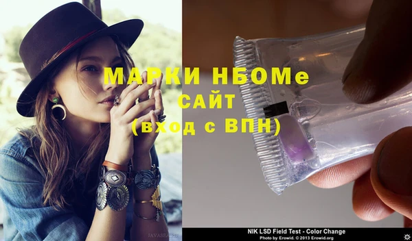 шишки Бородино
