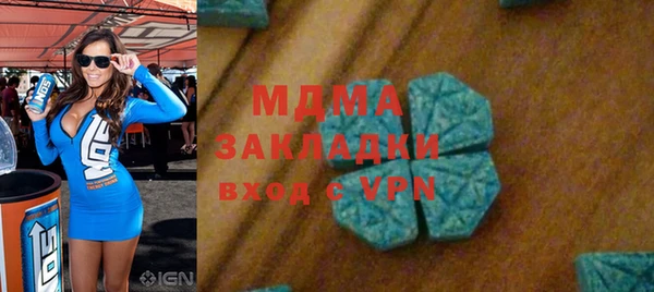 шишки Бородино