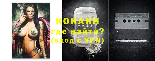 шишки Бородино